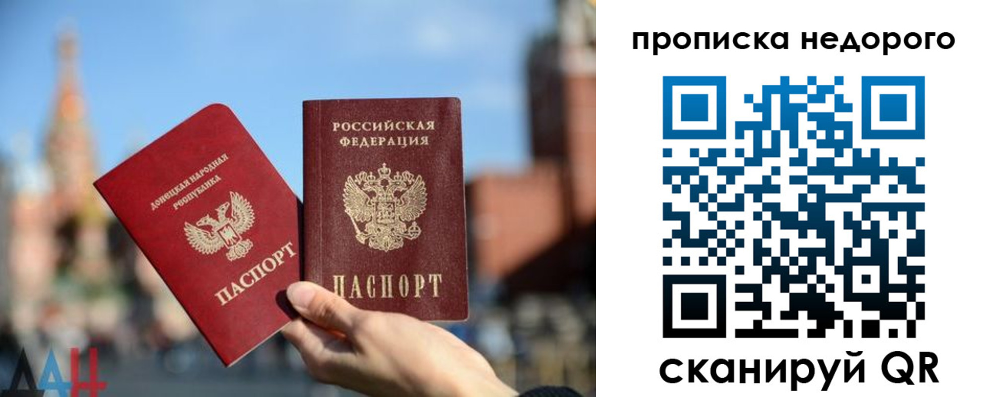 прописка регистрация в Пионерском